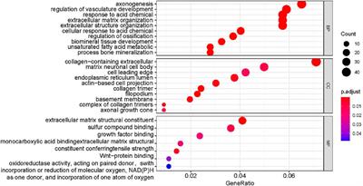 Identification of Novel Imatinib-Resistant Genes in Gastrointestinal Stromal Tumors